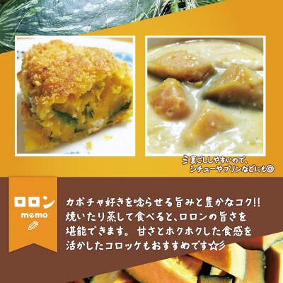 カボチャ 旨味がトロけるロロンで幸せな一時を 約5500g
