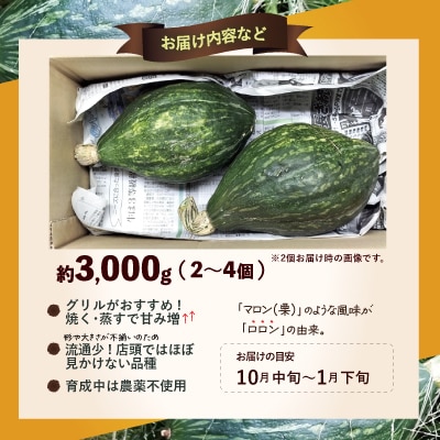 カボチャ 旨味がトロけるロロンで幸せな一時を 3000g