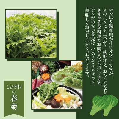 春菊 新鮮で風味豊か! 約3,000g