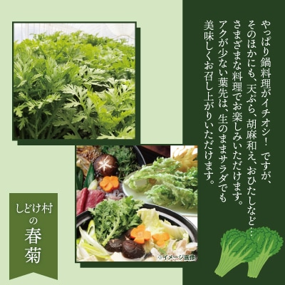 春菊 新鮮で風味豊か! 約2,000g