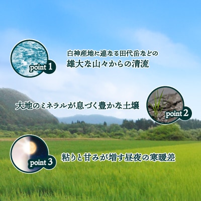 【令和7年産】あきたこまち(精米)10kg(5kg×2袋)