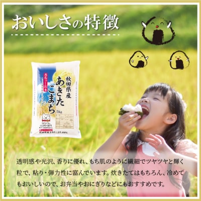 令和7年産秋田県産あきたこまち(普通米)10kg