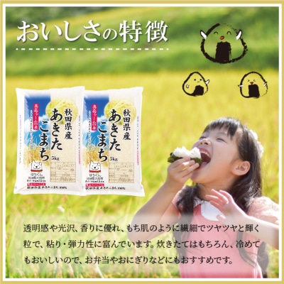 令和7年産秋田県産あきたこまち(普通米)10kg