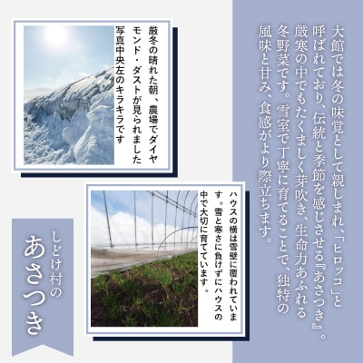 あさつき キュルッと食感、ほっこりする甘さ 約400g