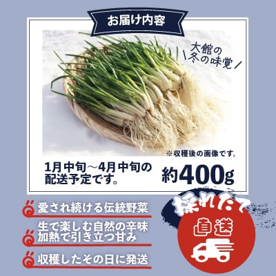 あさつき キュルッと食感、ほっこりする甘さ 約400g