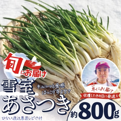 あさつき キュルッと食感、ほっこりする甘さ 約800g