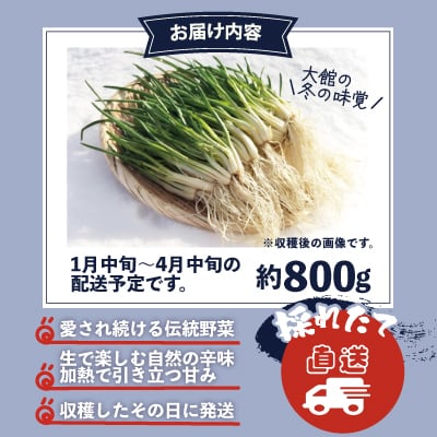 あさつき キュルッと食感、ほっこりする甘さ 約800g