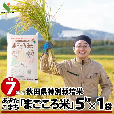 訳あり【令和7年産】秋田県特別栽培米あきたこまち「まごころ米」5kg