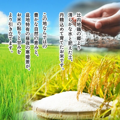 【令和7年産】あきたこまち(精米)5kg(5kg×1袋)