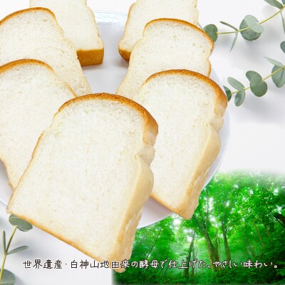 白神こだま酵母食パン(3本)