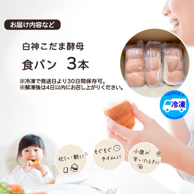 白神こだま酵母食パン(3本)