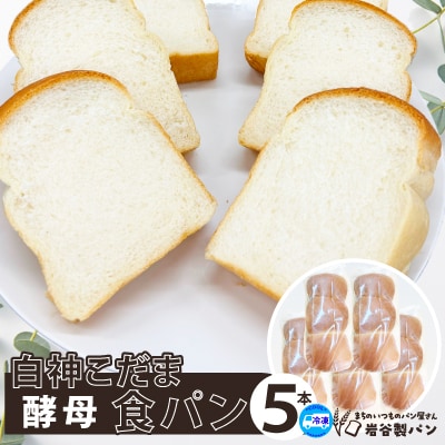 白神こだま酵母食パン(5本)