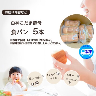 白神こだま酵母食パン(5本)