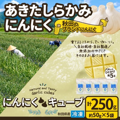 【あきたしらかみにんにく】にんにくCUBE 250g(1袋約50g×5袋)