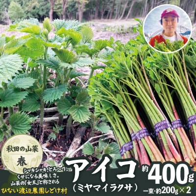 アイコ(ミヤマイラクサ) 約400g 秋田の山菜