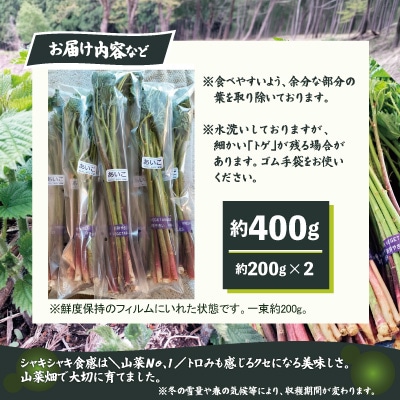 アイコ(ミヤマイラクサ) 約400g 秋田の山菜