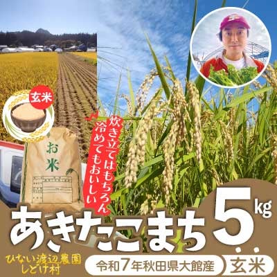 【令和7年産】秋田県産「あきたこまち」玄米5kg(5kg×1袋)