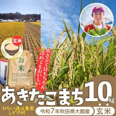 【令和7年産】秋田県産「あきたこまち」玄米10kg(10kg×1袋)