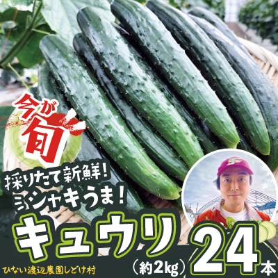 キュウリ 採りたてシャキ旨!24本