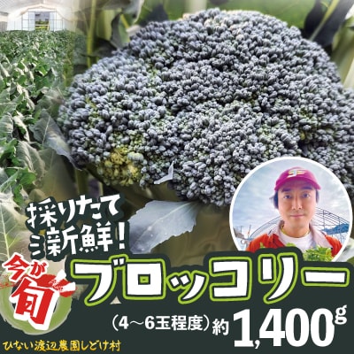 採りたて新鮮!ブロッコリー 約1400g