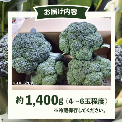 採りたて新鮮!ブロッコリー 約1400g