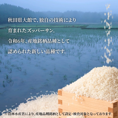 【令和7年産】ズッパーサン精米5kg(5kg×1袋) 