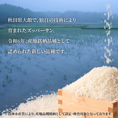 【令和7年産】ズッパーサン精米10kg(5kg×2袋) 