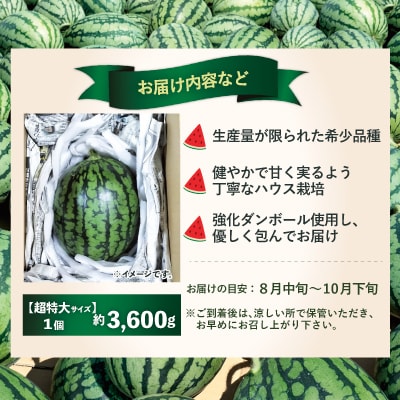 シャリっと甘い小玉スイカ!あきた夏丸チッチェ<超特大1個>