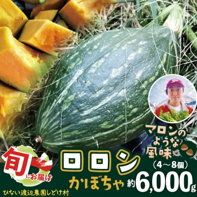 カボチャ 旨味がトロけるロロンで幸せな一時を 6000g