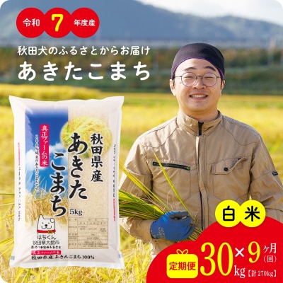 【定期便9ヶ月】令和7年産秋田県産あきたこまち(白米)30kg