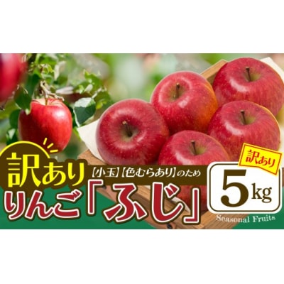 【先行予約】期間・数量限定【陽気な母さんの店】R8年産「訳ありふじ」(5kg)