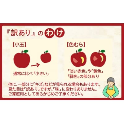 【先行予約】期間・数量限定【陽気な母さんの店】R8年産「訳ありふじ」(5kg)