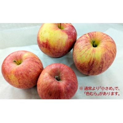 【先行予約】期間・数量限定【陽気な母さんの店】R8年産「訳ありふじ」(5kg)