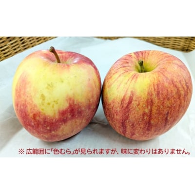 【先行予約】期間・数量限定【陽気な母さんの店】R8年産「訳ありふじ」(5kg)