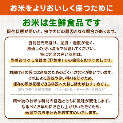 R8年産 あきたこまち 10kg 9カ月定期便