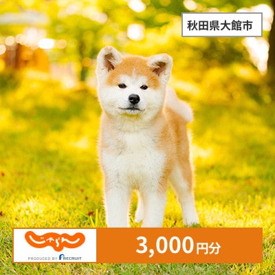 【じゃらんふるさと納税クーポン】 秋田県大館市でつかえる3,000円 クーポン