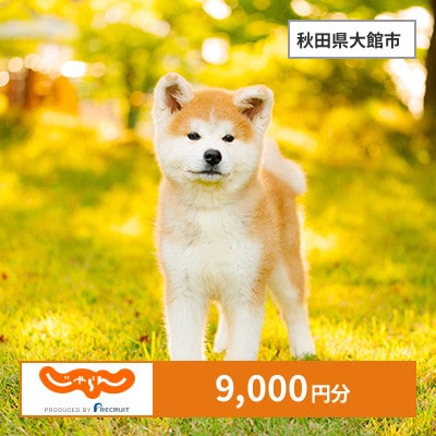【じゃらんふるさと納税クーポン】 秋田県大館市でつかえる9,000円 クーポン