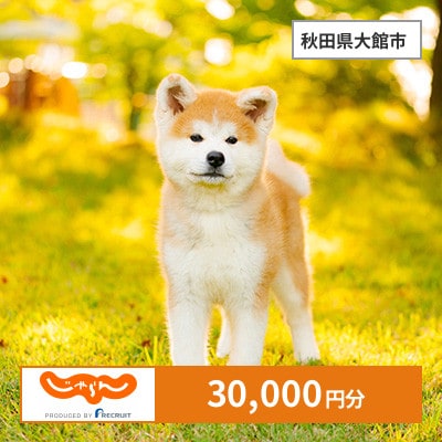 【じゃらんふるさと納税クーポン】 秋田県大館市でつかえる30,000円 クーポン