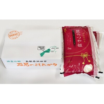 【令和3年産】特別栽培米「匠のつや姫」5kg×2袋【212】