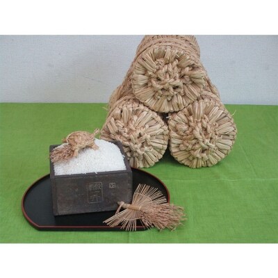 【令和3年産】特別栽培米「匠のつや姫」5kg×2袋【212】