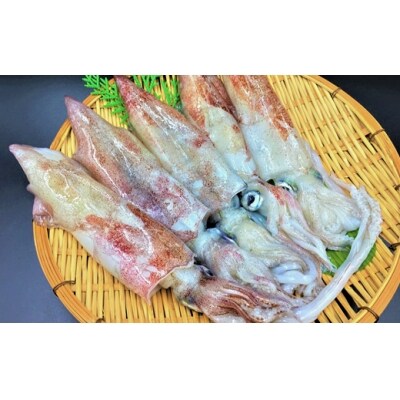 冷凍だけど優れもの 浜田港の剣先イカをご家庭で刺身にして味わおう 731 お礼品詳細 ふるさと納税なら さとふる