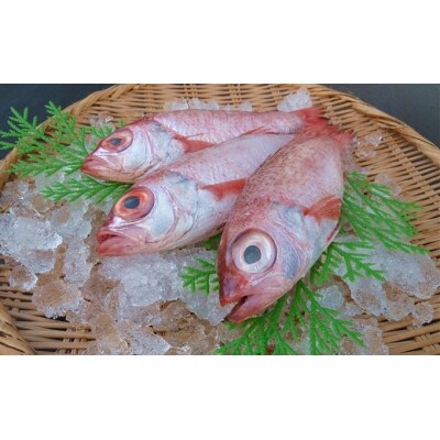 山陰浜田 香住屋の のどぐろ 煮付け 塩焼き用 3 4尾 657 お礼品詳細 ふるさと納税なら さとふる