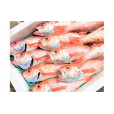 山陰浜田 シーライフより5種の魚を手塩に掛けた一夜干し詰め合わせ 940 お礼品詳細 ふるさと納税なら さとふる