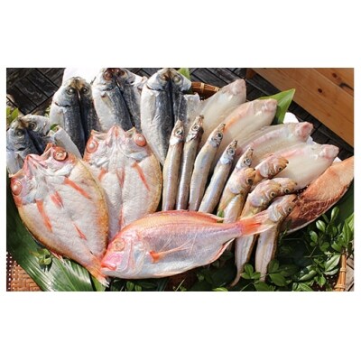 旬の厳選干物セット12回コース 特大のどぐろ入 811 お礼品詳細 ふるさと納税なら さとふる