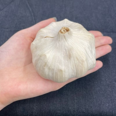 乾燥白にんにく(1kg)