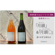 田舎式ワイン「月頭」&amp;「月頭◯」2本セット