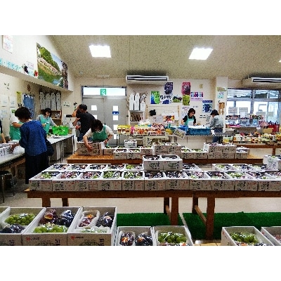 岡山県産シャインマスカット1.5kg以上(2房)【2022年9月上旬以降発送】