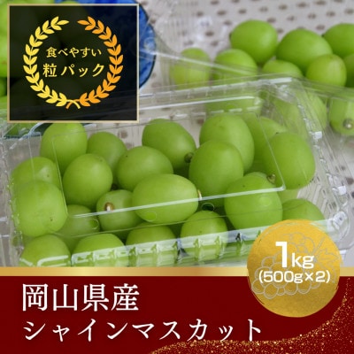 【ご家庭用】岡山県産シャインマスカット バラ粒 1kg(500g×2パック)【令和7年産】