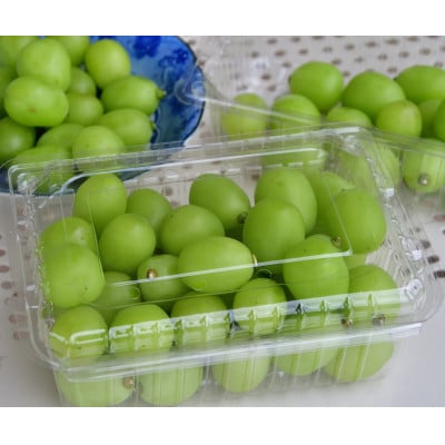 【ご家庭用】岡山県産シャインマスカット バラ粒 1kg(500g×2パック)【令和7年産】
