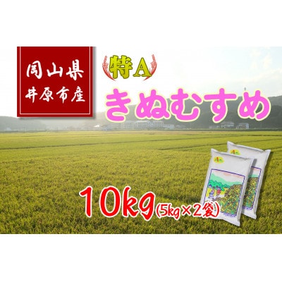 岡山県井原市産きぬむすめ10kg(5kg×2袋)